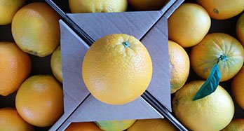 Doos op maat van sinaasappels en fruit - Prijs 50 €