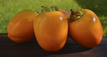 Kaki's Persimon 18 kg - Prijs 53 €