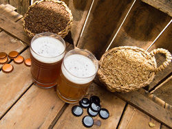 Ambachtelijk bier - WAI - Valencia craft beer online