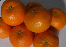 Koop mandarijnen - Valencia mandarins online