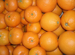 Koop een doos gemengd fruit - Valencia oranges and mandarins online