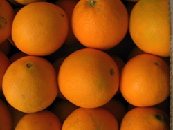 Koop sinaasappels online - Valencia oranges online