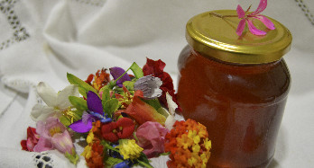 Duizendbloemenhoning 1 kg - Prijs 16 €
