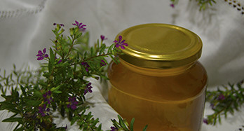 Tijmhoning 1 kg - Prijs 16 €