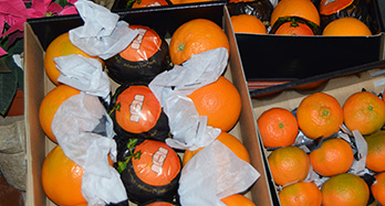 45 Sinaasappels en 28 Mandarijnen Gourmet - Prijs 60 €