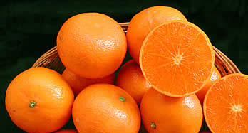 Mandarijnen Murcott 12 kg - Prijs 44 €