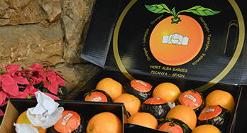 45 Gourmet-sinaasappels - Prijs 47 €