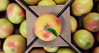 Pomelos 10 kg
