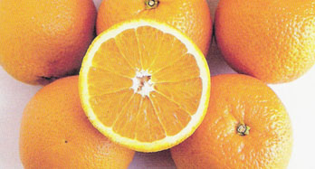 Sinaasappels Valencia 15 kg