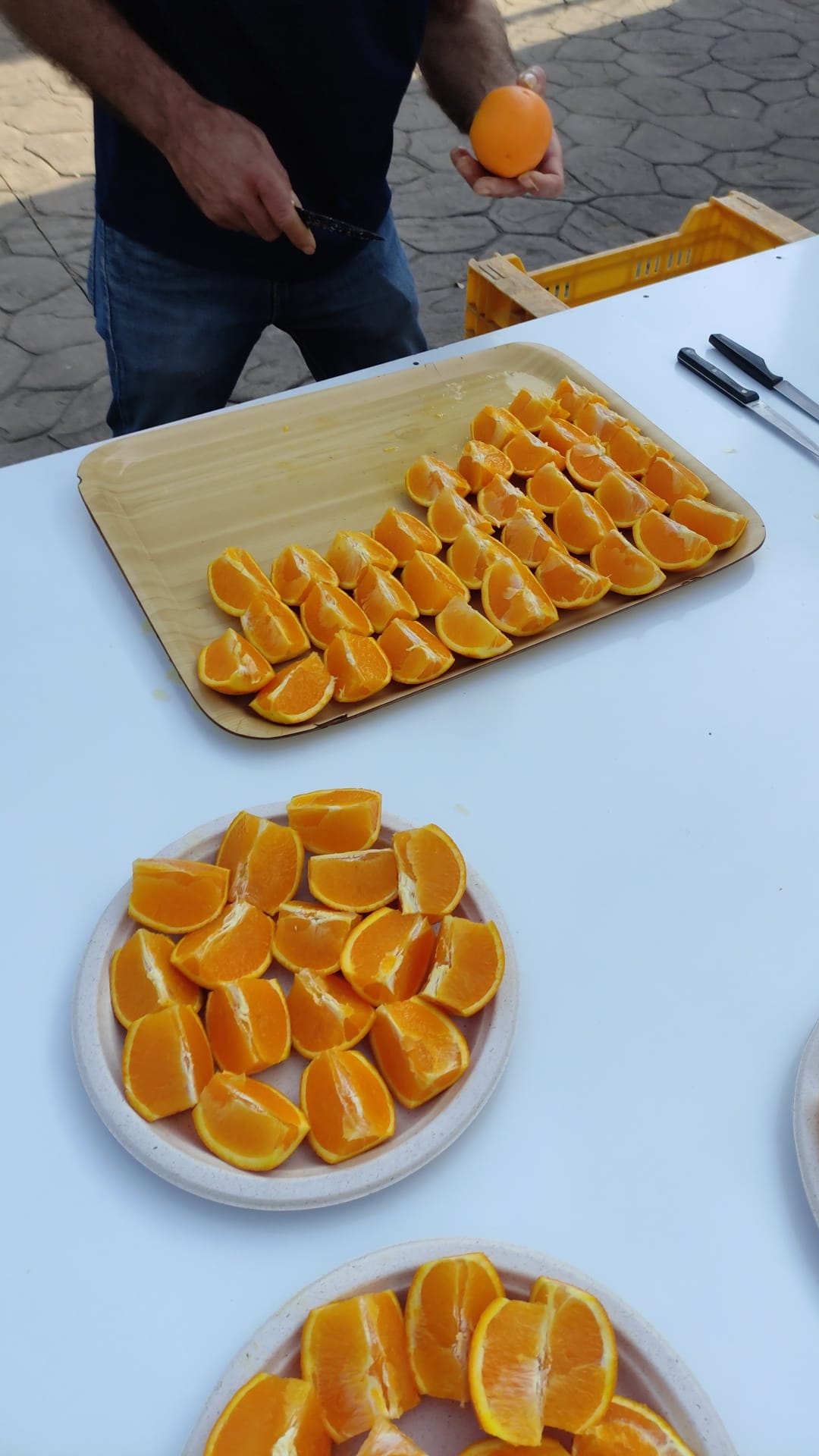 Hort Alba Garcés